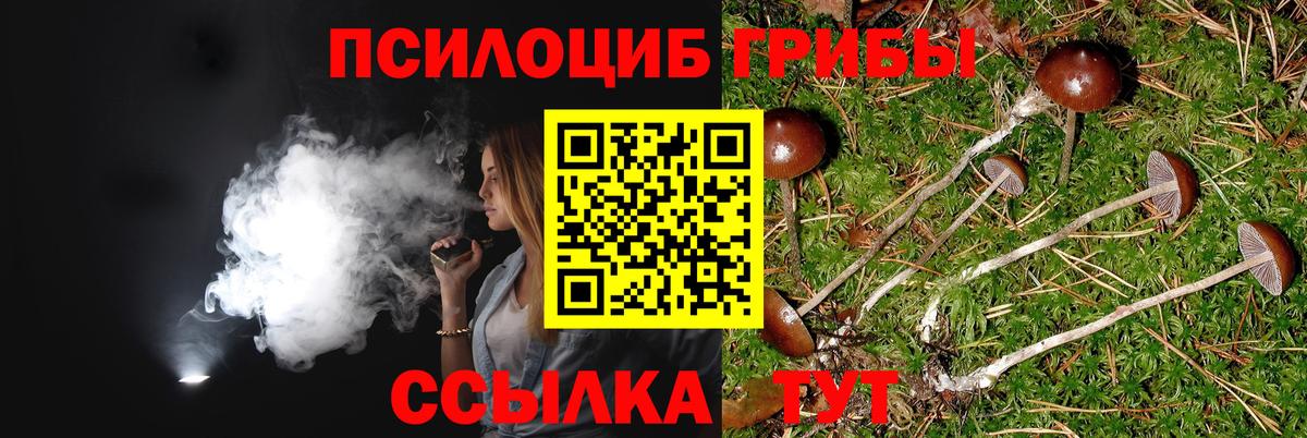 даркнет сайт  Вход с VPN  Радужный  Галлюциногенные грибы Magic Shrooms  Псилоцибиновые грибы мухоморы 